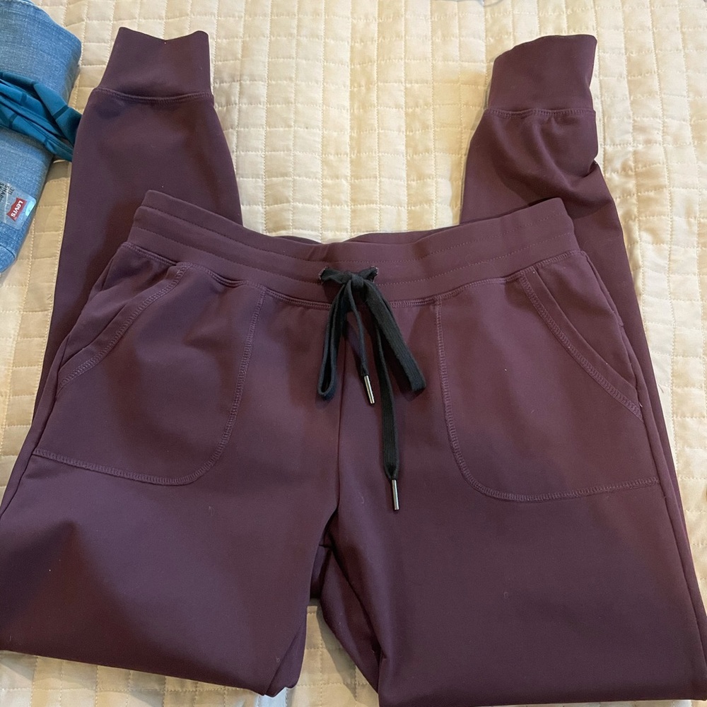 Zyia plum unwind joggers